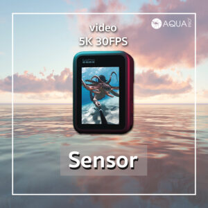 GoPro 9 - sensor