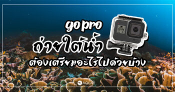 GoPro ถ่ายใต้น้ำ