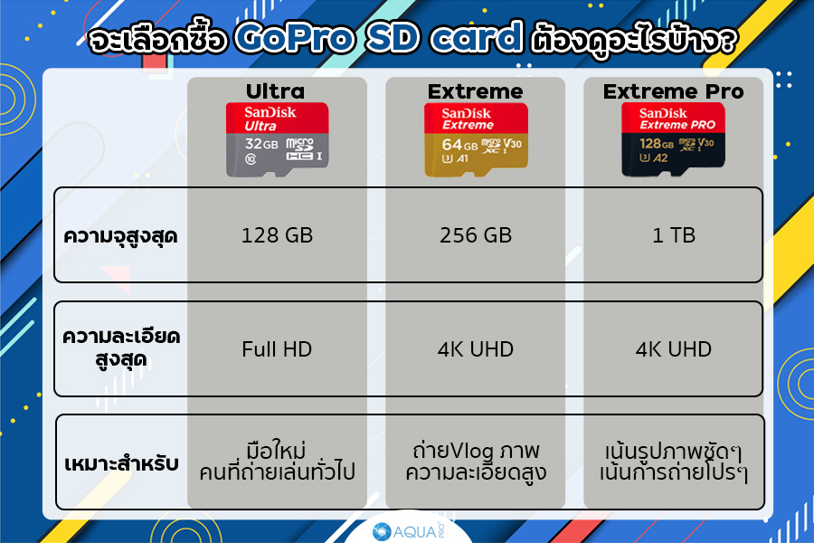 GoPro SD card