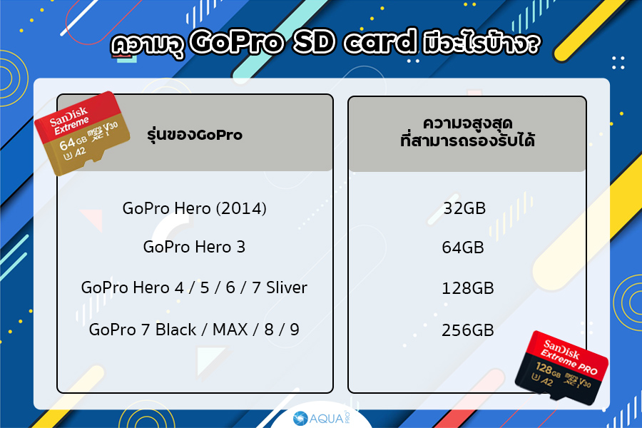 GoPro SD card