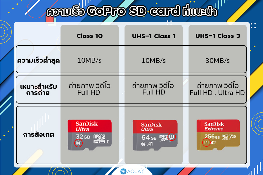 Gopro SD card