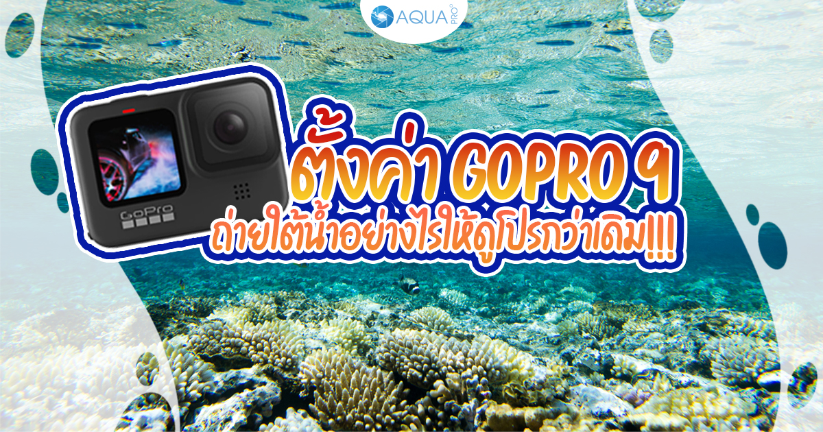 ตั้งค่า GoPro 9 ถ่ายใต้น้ำอย่างไรให้ดูโปรกว่าเดิม!!!