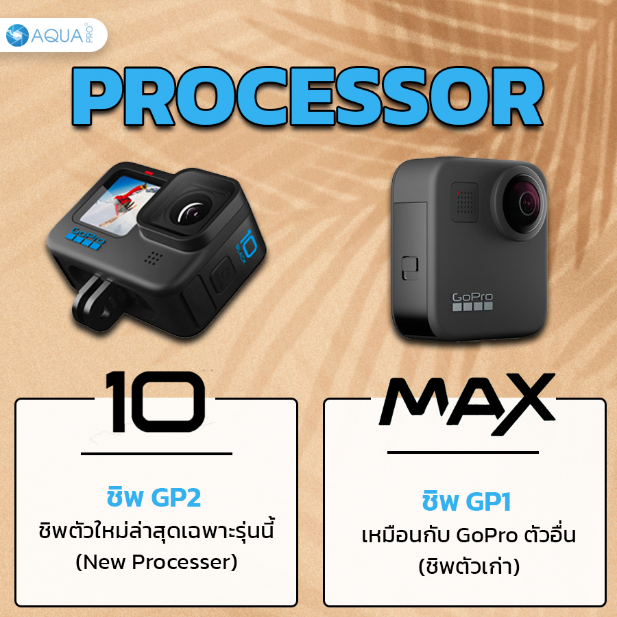 GoPro 10 vs Max sensor processor