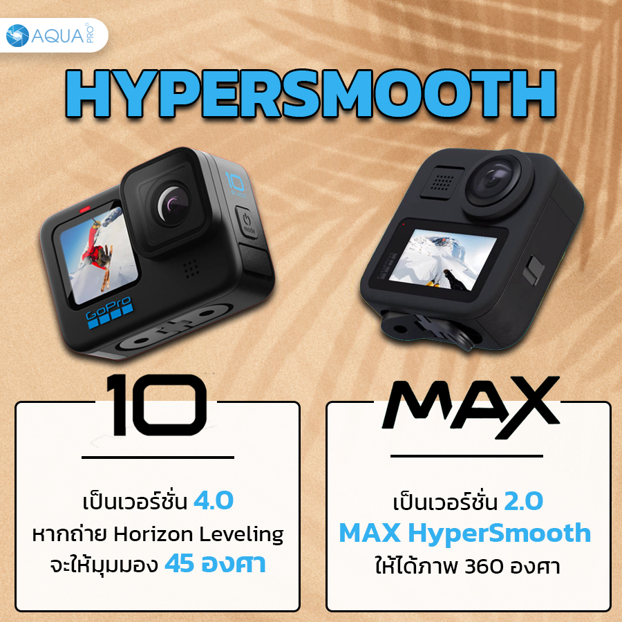 GoPro 10 vs Max 