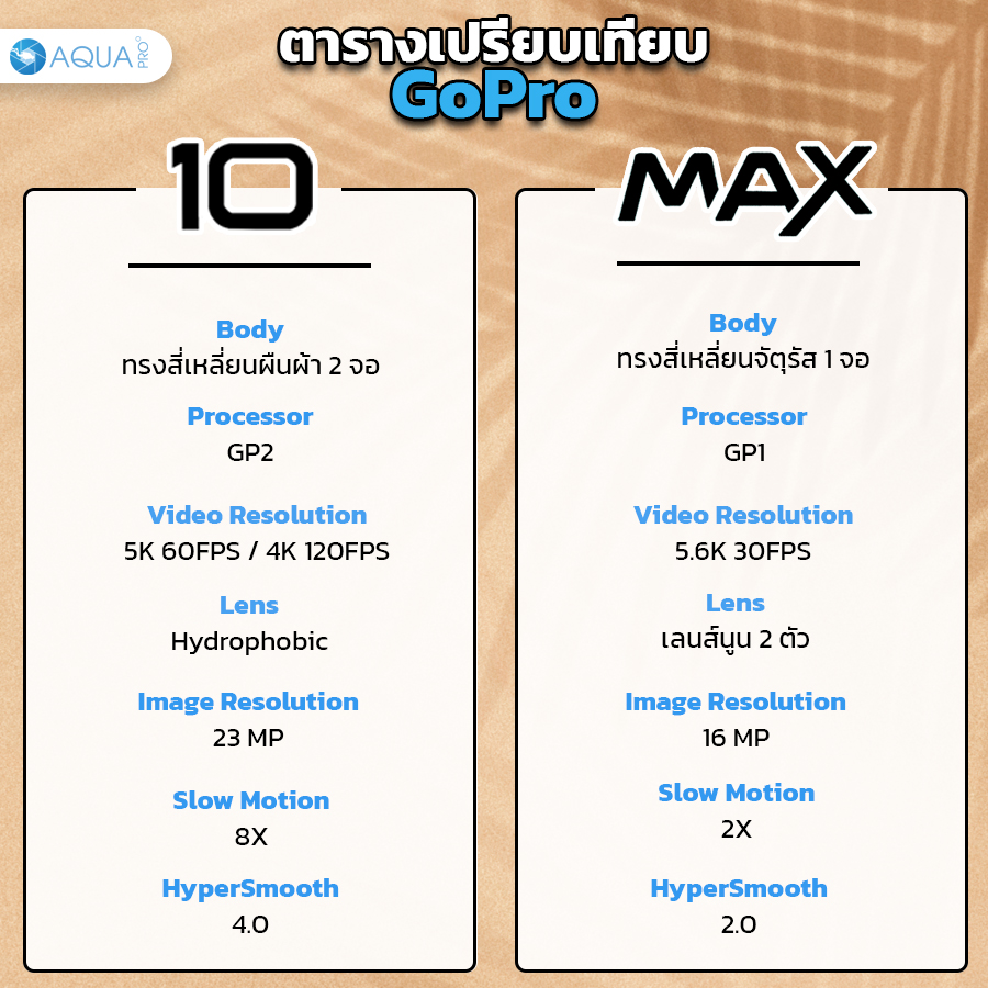 GoPro 10 vs Max 