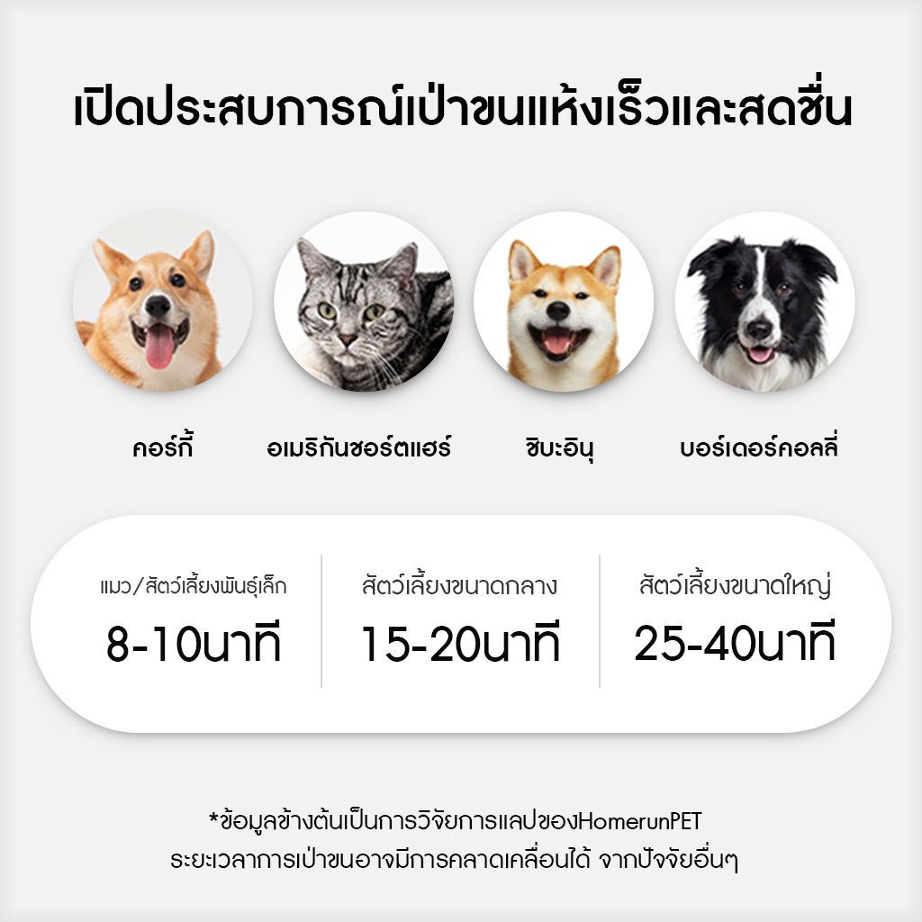 HomeRunPet Pet Blow Dryer PD10 รับประกันศูนย์ไทย 1 ปี - Image 3