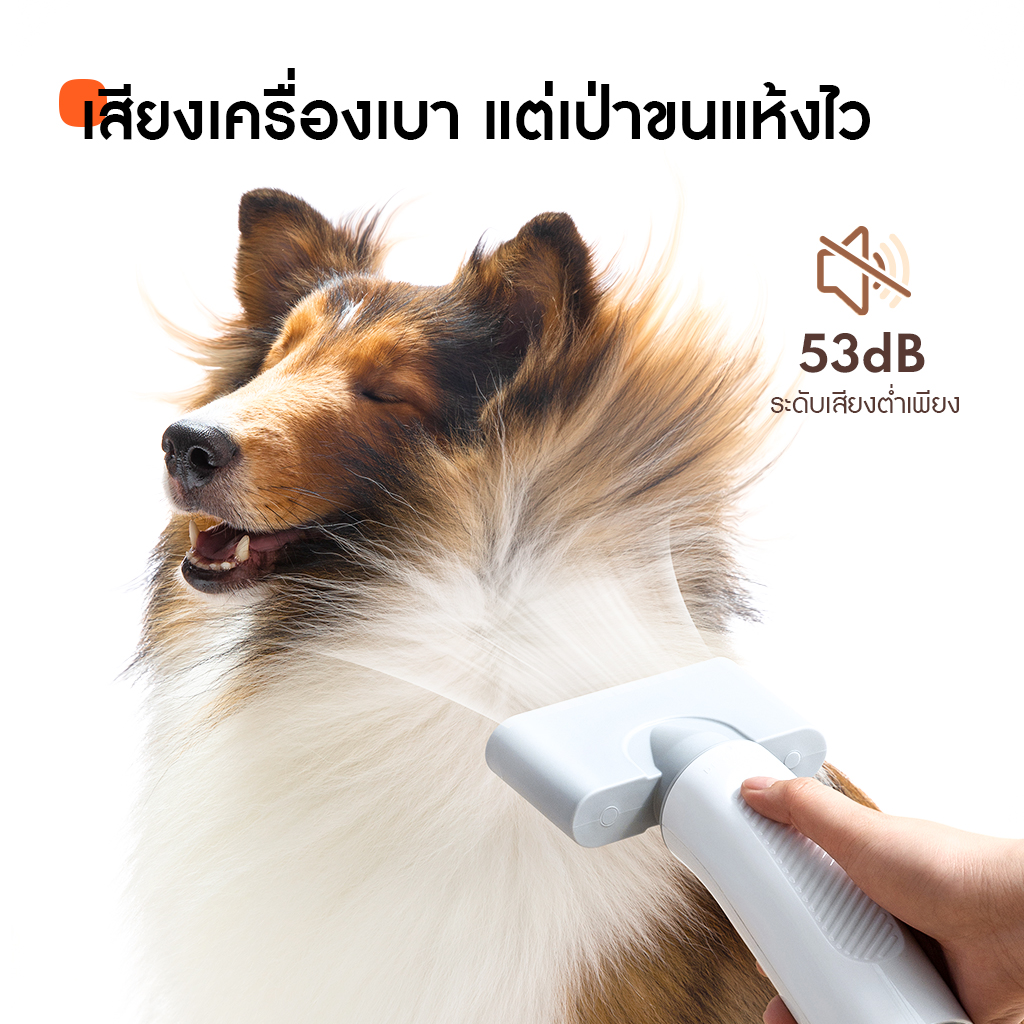 HomeRunPet Pet Blow Dryer PD10 รับประกันศูนย์ไทย 1 ปี - Image 7