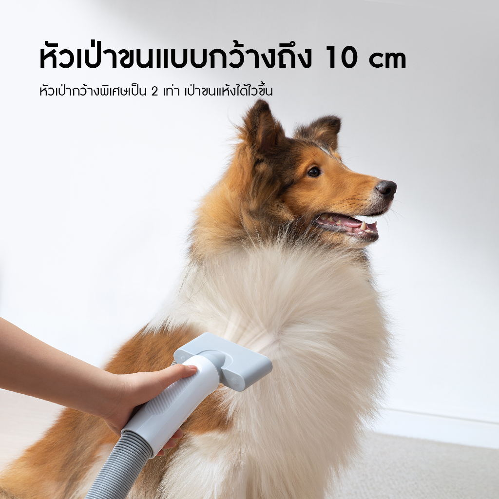 HomeRunPet Pet Blow Dryer PD10 รับประกันศูนย์ไทย 1 ปี - Image 4