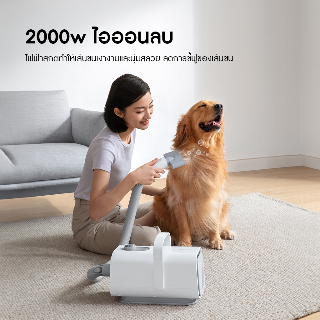 HomeRunPet Pet Blow Dryer PD10 รับประกันศูนย์ไทย 1 ปี - Image 6