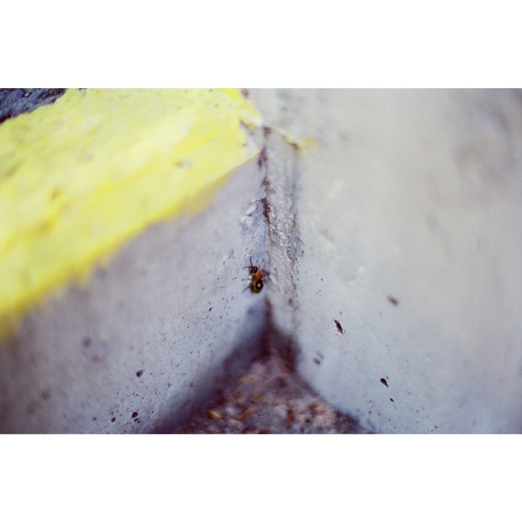 Reto ฟิล์มสี Amber T200 Film, 35MM, 27EXP - Image 3